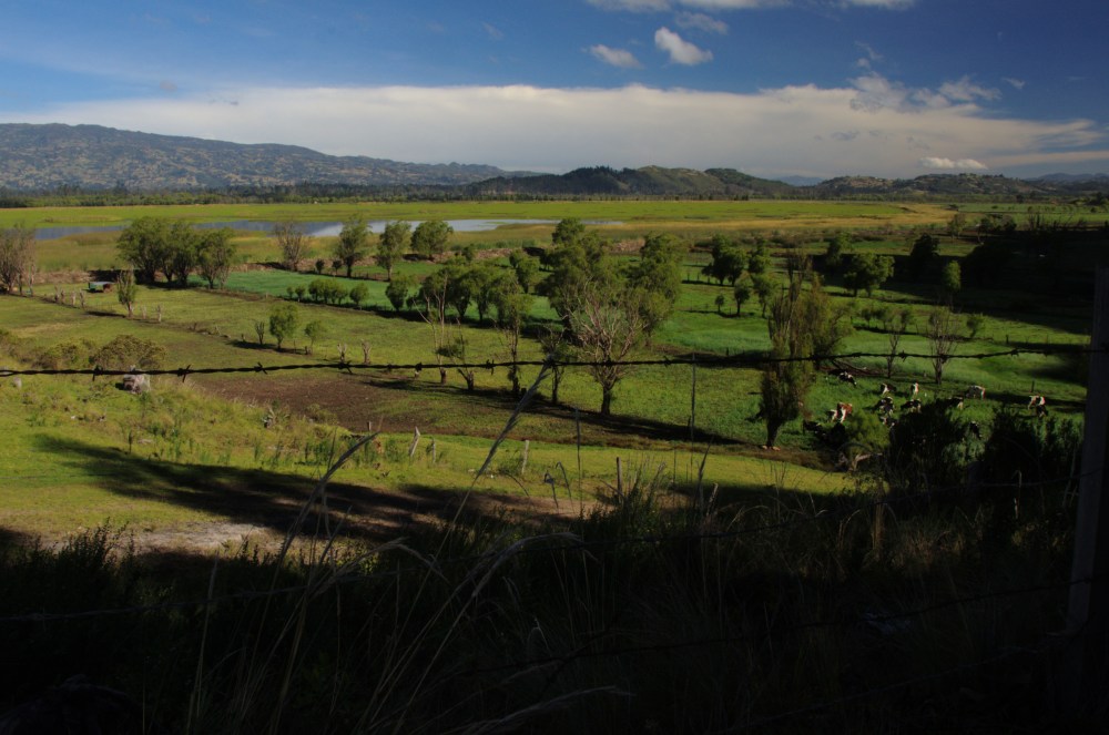 Laguna de Cucunubá, acercamiento 1