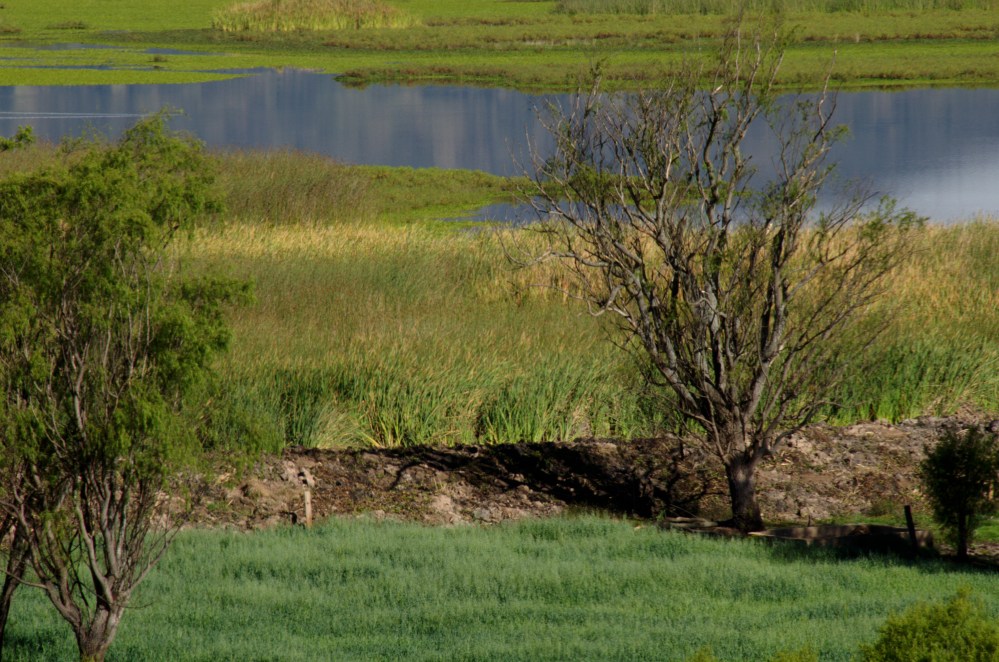 Dique en la laguna de Cucunubá, acercamiento